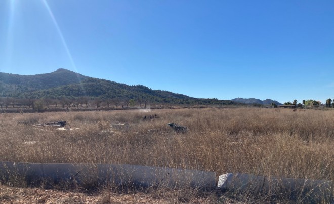 Revente · Parcelle / Terrain · Hondón de las Nieves · HONDON DE LAS NIEVES