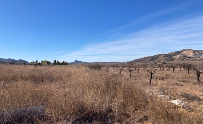 Revente · Parcelle / Terrain · Hondón de las Nieves · HONDON DE LAS NIEVES