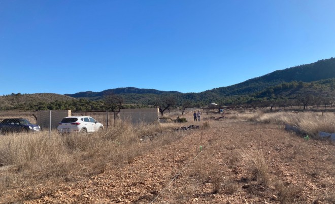 Revente · Parcelle / Terrain · Hondón de las Nieves · HONDON DE LAS NIEVES