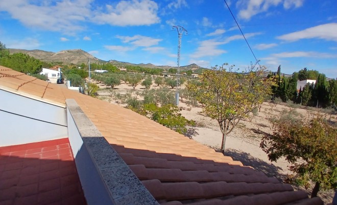 Venta · Villa / Chalet · Yecla