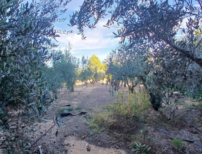 Venta · Villa / Chalet · Yecla