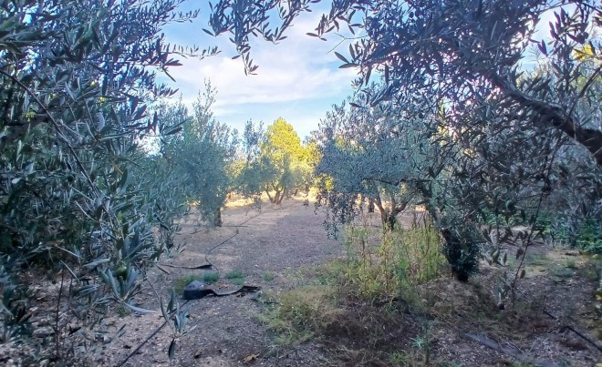 Venta · Villa / Chalet · Yecla