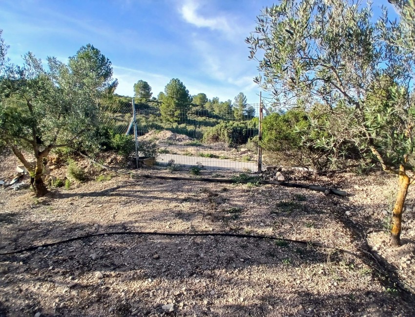 Venta · Villa / Chalet · Yecla