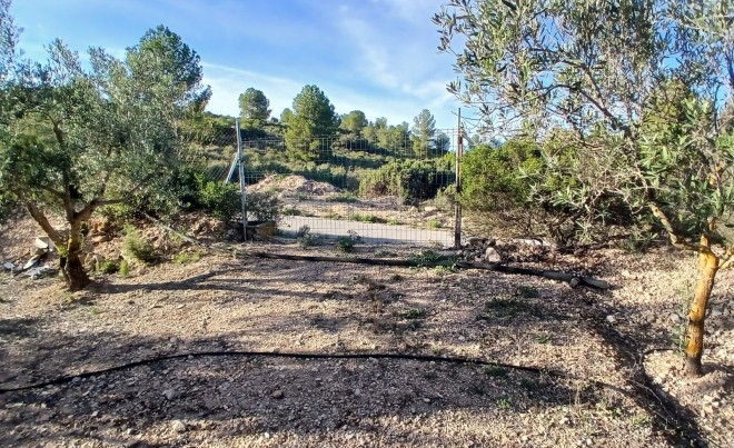 Venta · Villa / Chalet · Yecla