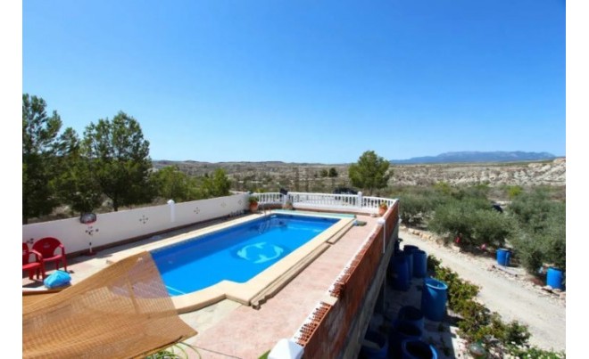 Venta · Villa / Chalet · Albudeite