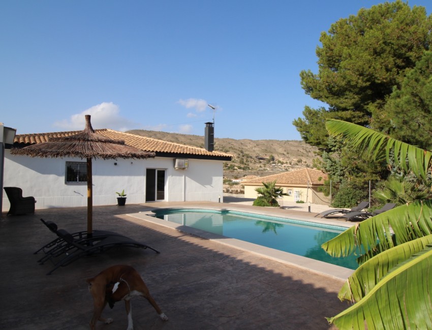 Venta · Villa / Chalet · Fortuna