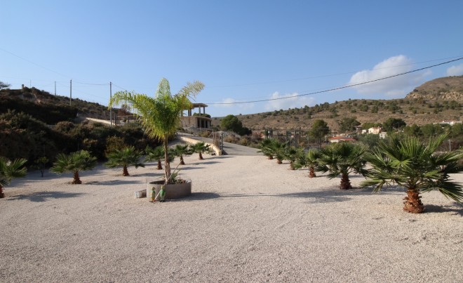 Venta · Villa / Chalet · Fortuna