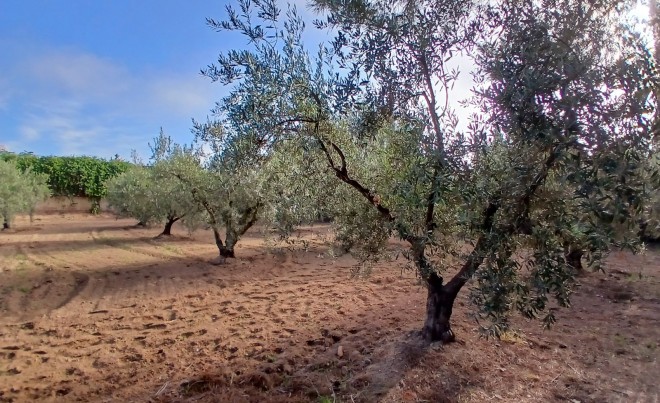 Venta ·  · Jumilla