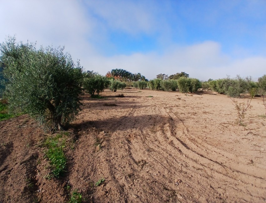 Venta ·  · Jumilla