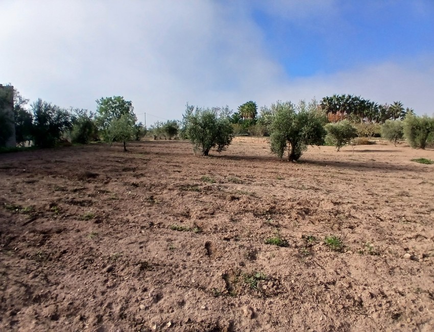 Venta ·  · Jumilla