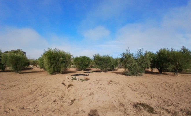 Venta ·  · Jumilla