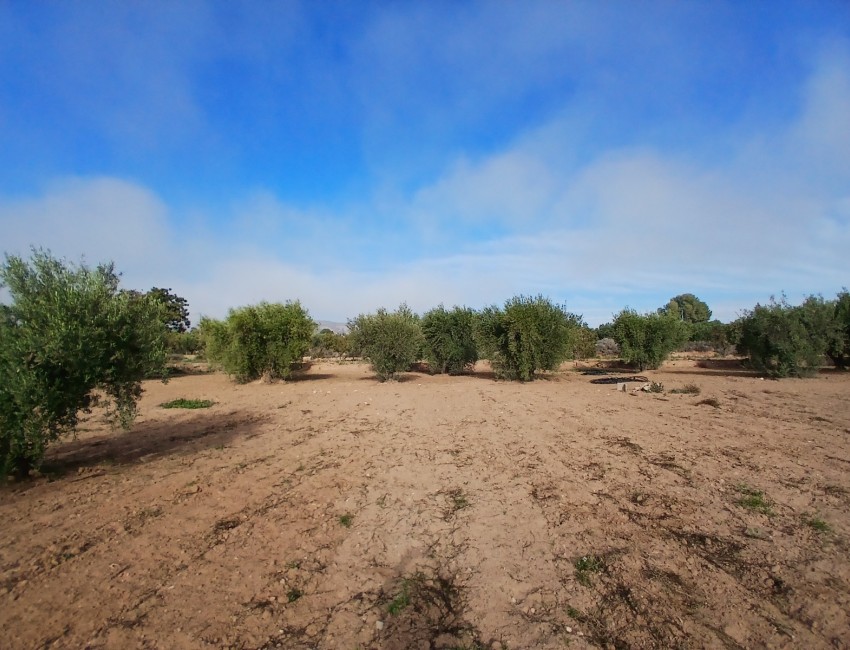 Venta ·  · Jumilla