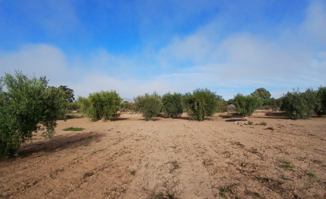 Venta ·  · Jumilla