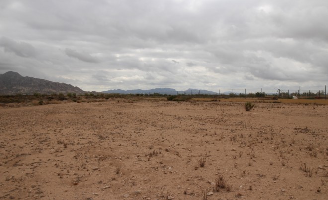 Venta · Parcela / Terreno · Abanilla · ABANILLA