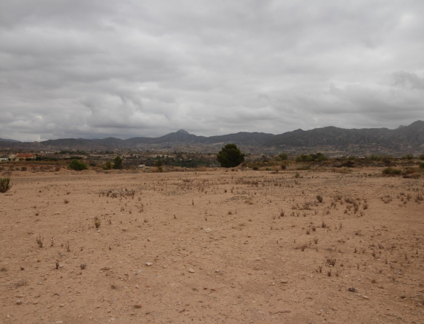 Venta · Parcela / Terreno · Abanilla · ABANILLA