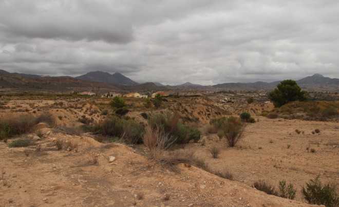 Venta · Parcela / Terreno · Abanilla · ABANILLA
