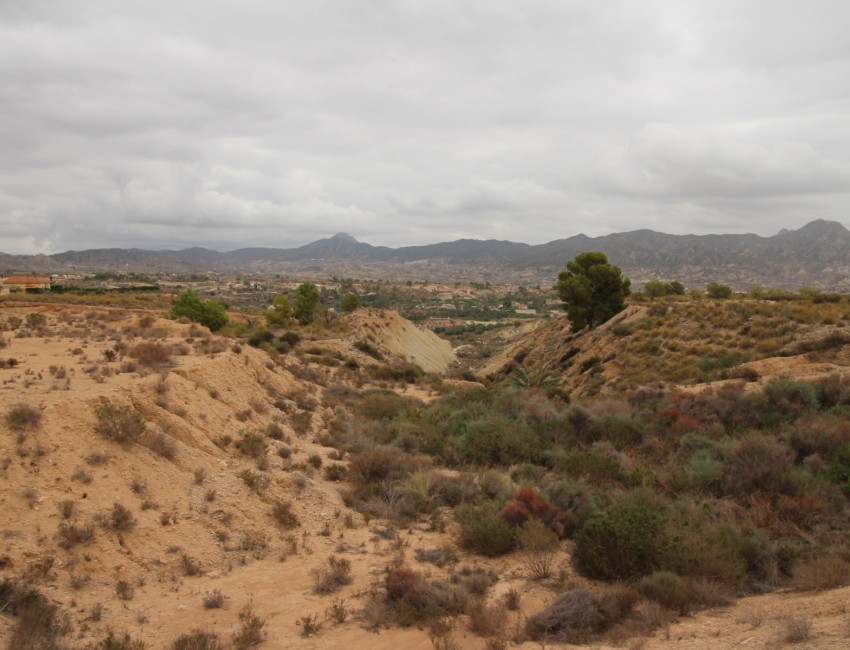 Venta · Parcela / Terreno · Abanilla · ABANILLA