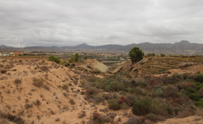 Venta · Parcela / Terreno · Abanilla · ABANILLA