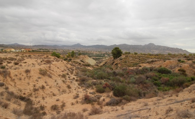 Venta · Parcela / Terreno · Abanilla · ABANILLA