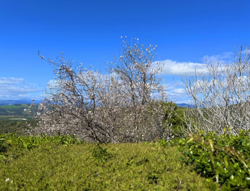 Sale · Villa · Casares · Costa del Sol