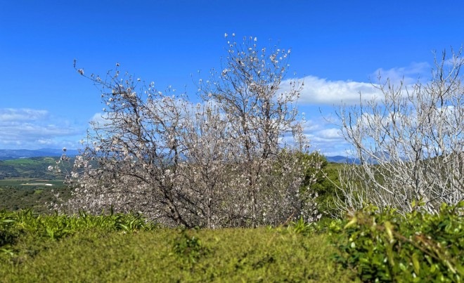 Sale · Villa · Casares · Costa del Sol