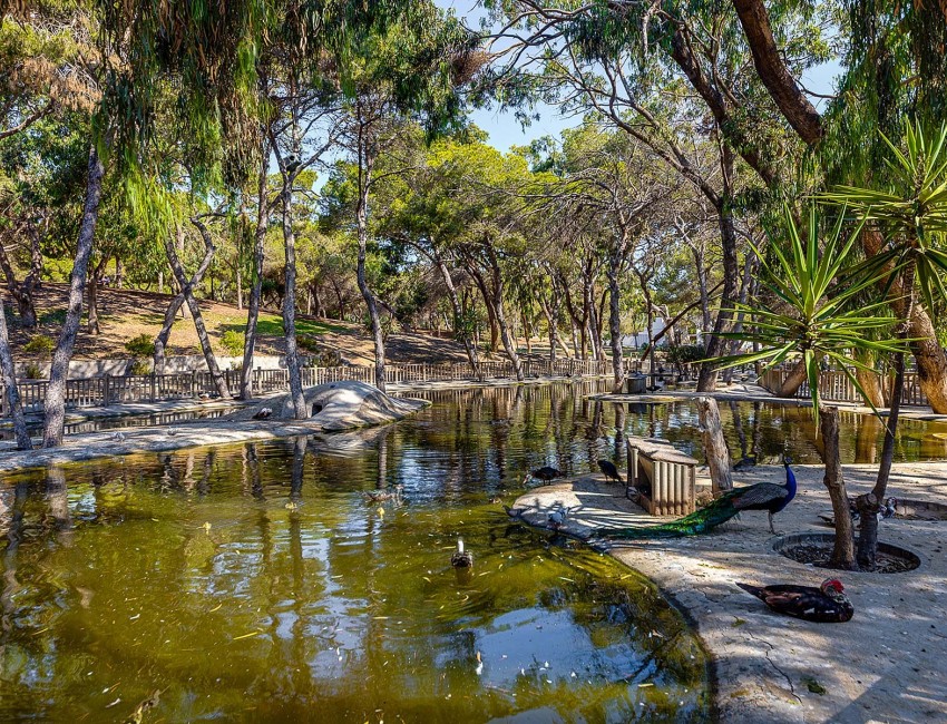 Nueva construcción  · Ático · Guardamar del Segura · El Raso