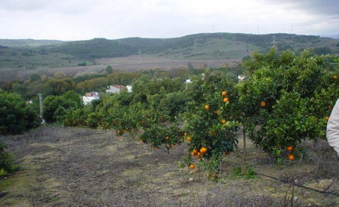 Revente · Villa · Jimena de la Frontera · Costa de la Luz