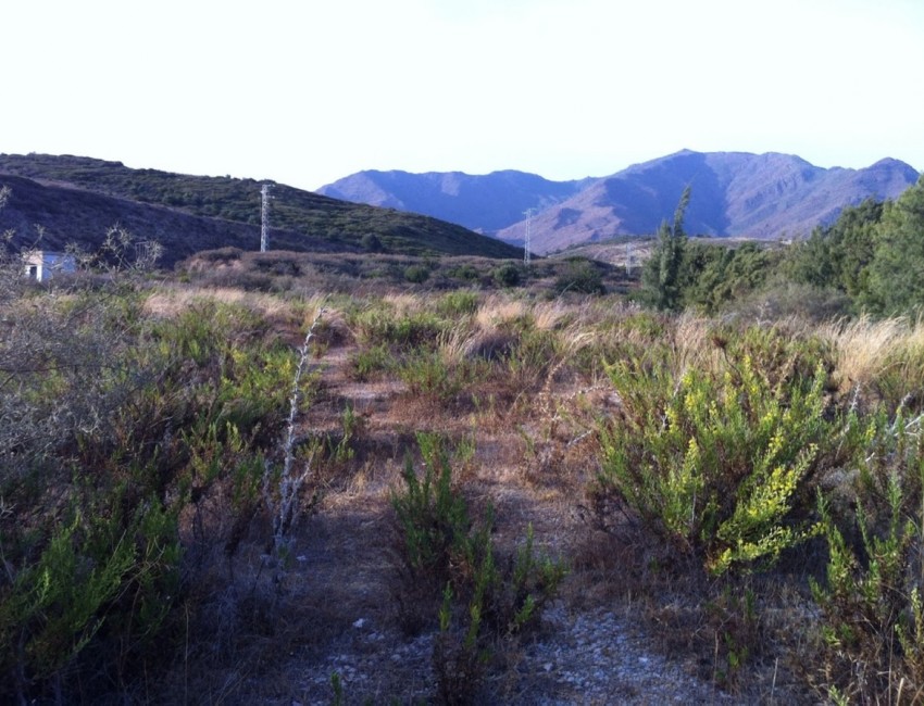 Revente · Parcelle / Terrain · Casares · Costa del Sol