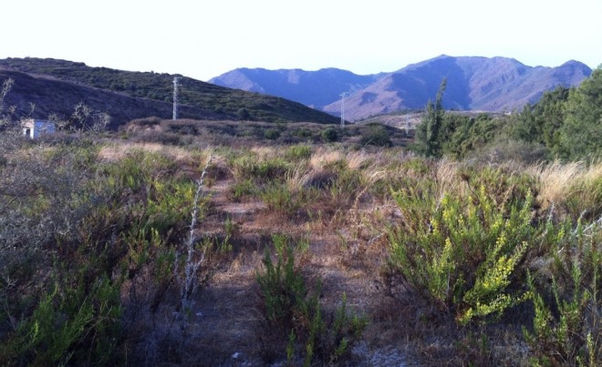 Sale · Plot / Land · Casares · Costa del Sol