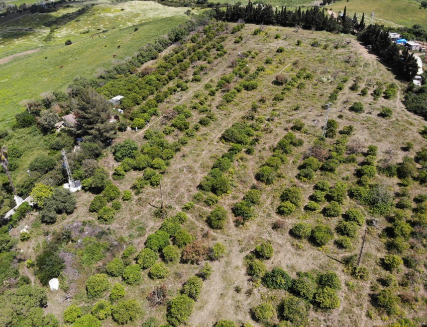 Sale · Villa · San Martín de Tesorillo · Costa del Sol