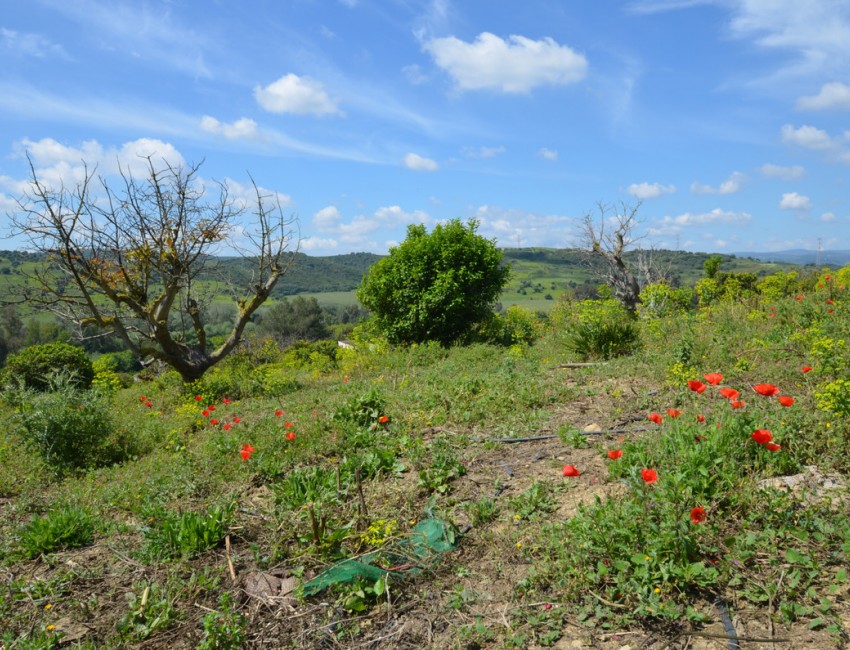 Revente · Villa · San Martín de Tesorillo · Costa del Sol