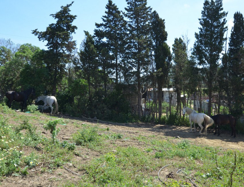 Revente · Villa · San Martín de Tesorillo · Costa del Sol