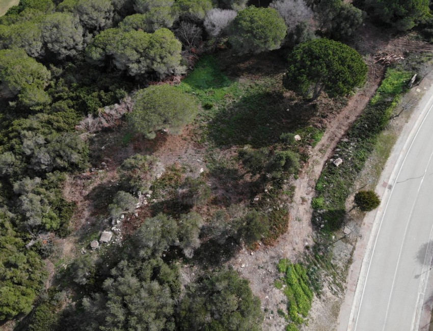 Sale · Plot / Land · Sotogrande · Costa del Sol