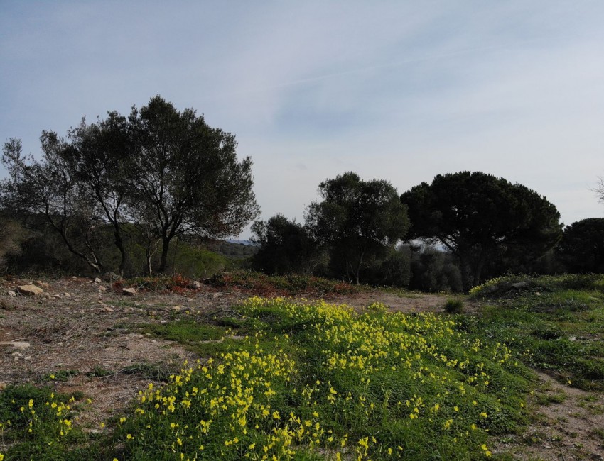 Sale · Plot / Land · Sotogrande · Costa del Sol