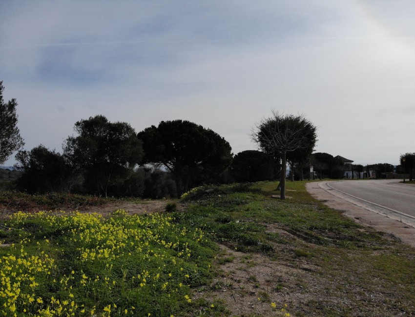 Sale · Plot / Land · Sotogrande · Costa del Sol