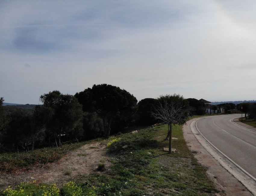 Sale · Plot / Land · Sotogrande · Costa del Sol