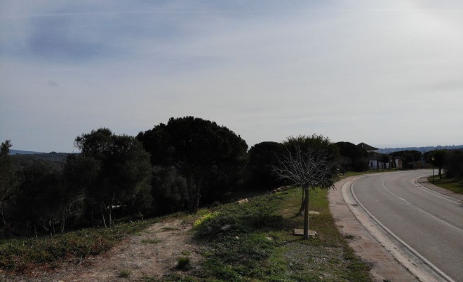 Venta · Parcela / Terreno · Sotogrande · Costa del Sol