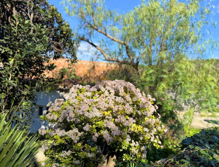 Revente · Villa · Casares · Costa del Sol