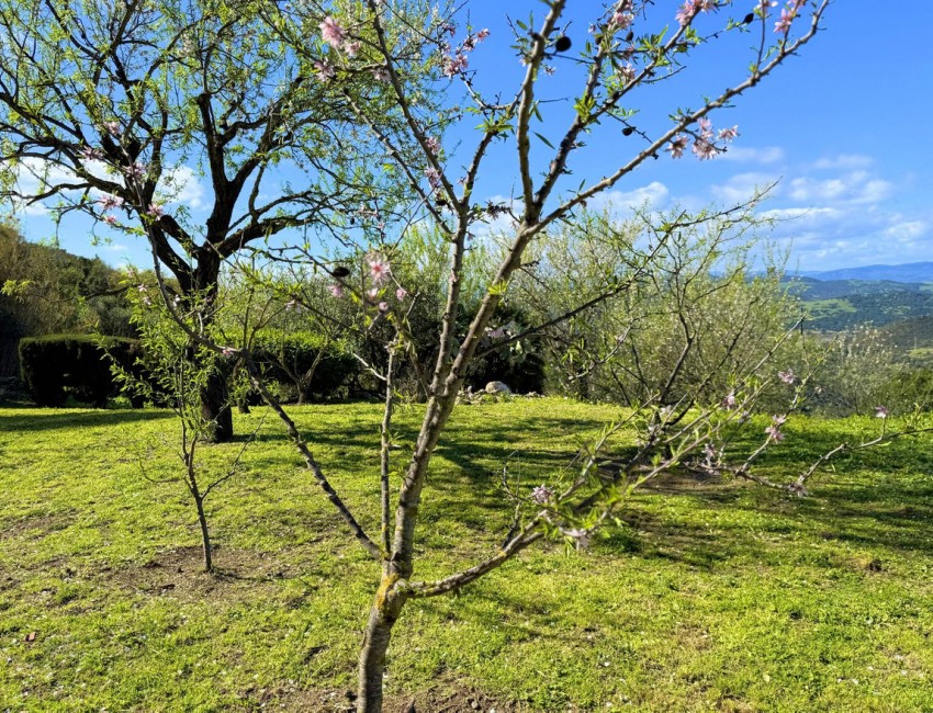 Revente · Villa · Casares · Costa del Sol