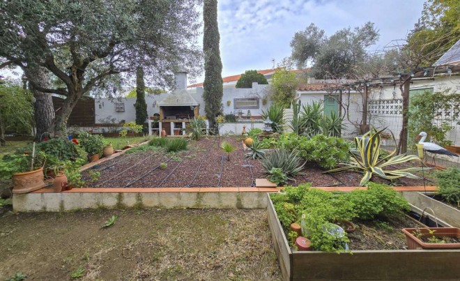 Revente · Bungalow / Maison de Ville · Mas Oliva