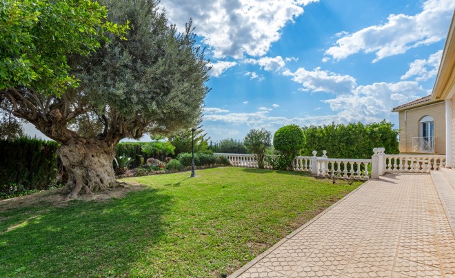 Venta · Villa / Chalet · Elche/Elx