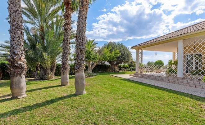 Venta · Villa / Chalet · Elche/Elx