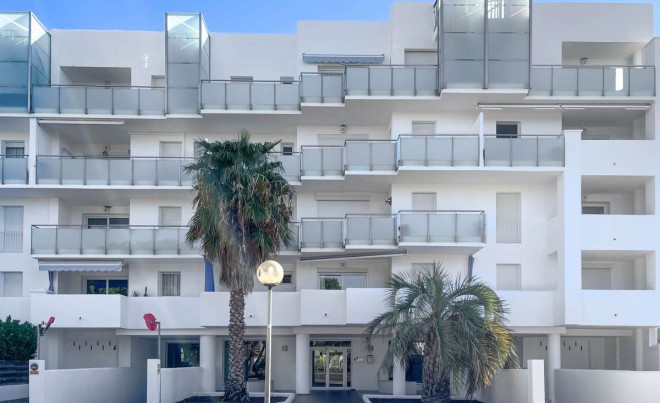 Venta · Apartamento / Piso · Santa Margarita