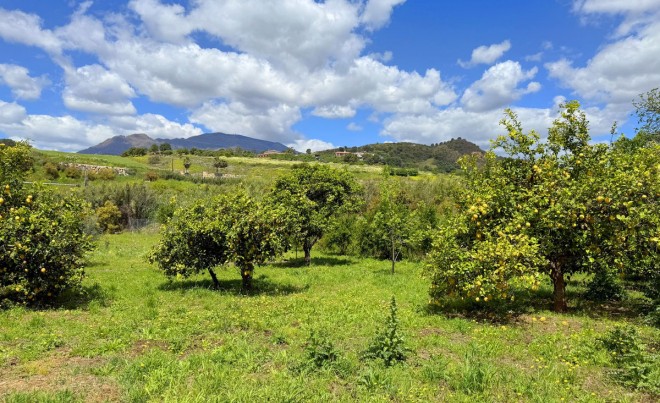 Revente · Villa · Estepona · Costa del Sol