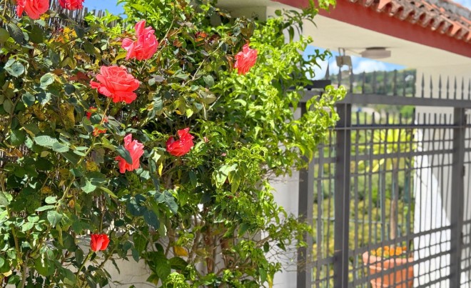 Revente · Villa · Estepona · Costa del Sol