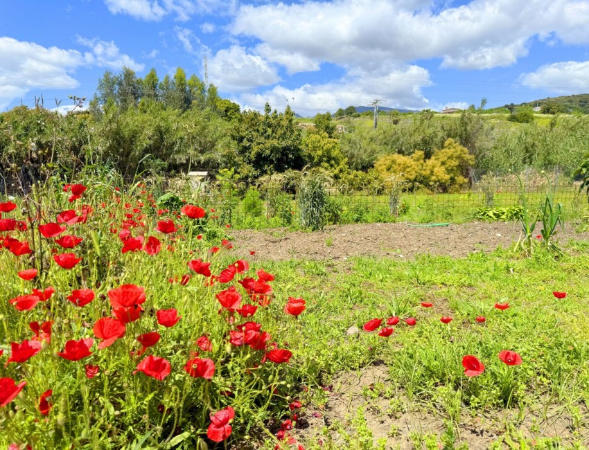 Revente · Villa · Estepona · Costa del Sol