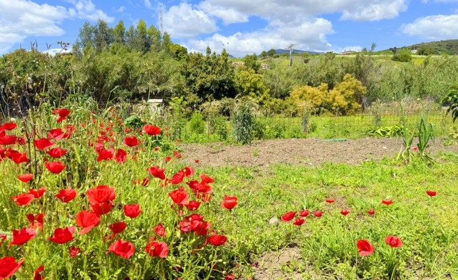 Revente · Villa · Estepona · Costa del Sol