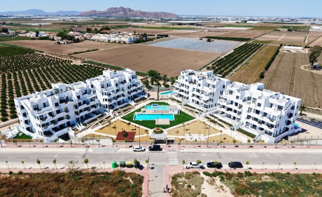 Nouvelle construction · Appartement · Torre Pacheco · Santa Rosalía