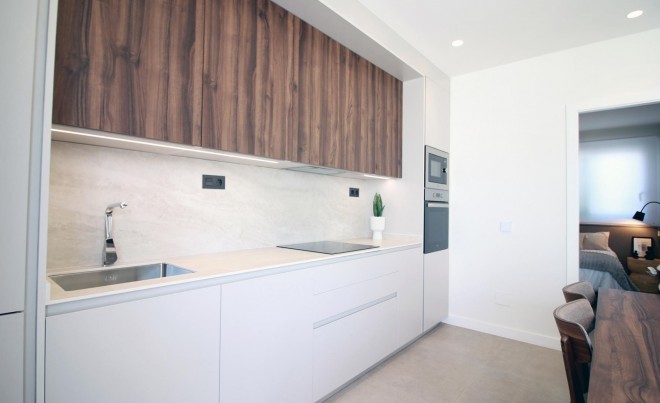 Nouvelle construction · Bungalow / Maison de Ville · Pilar de la Horadada · Higuericas