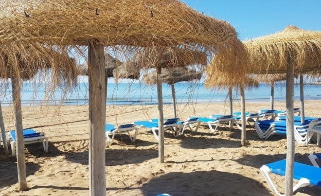 Sale · Apartment / Flat · Torrevieja